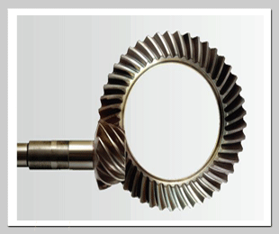 Gear Oil